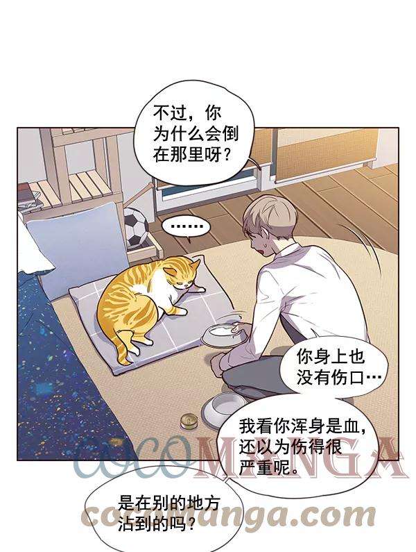 觉醒吧，铲屎官！1话