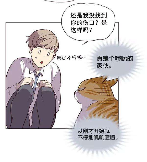 觉醒吧，铲屎官！1话