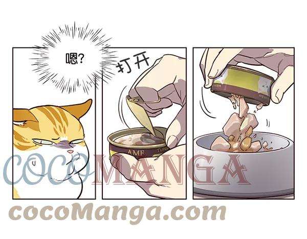 觉醒吧，铲屎官！1话