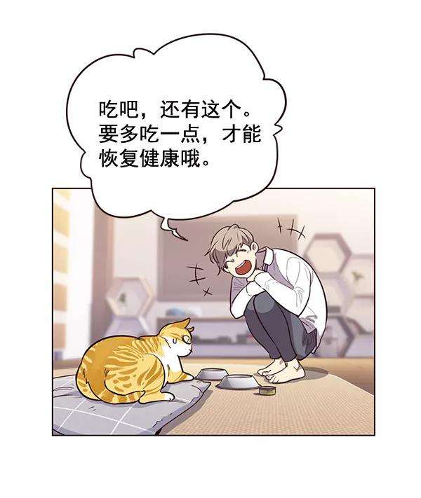 觉醒吧，铲屎官！1话