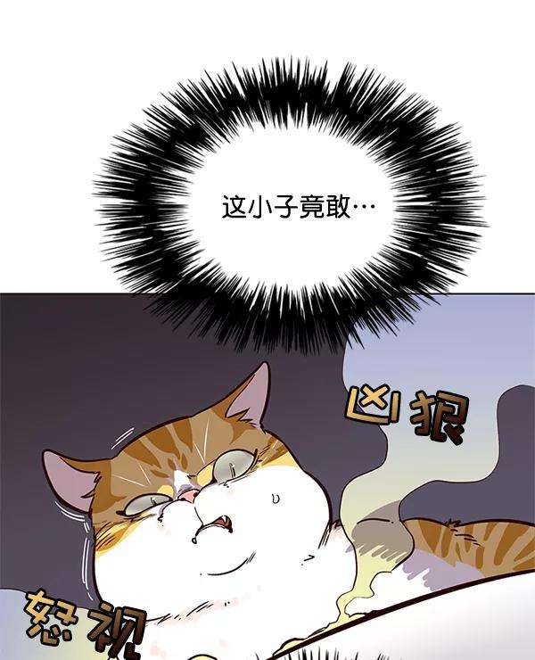 觉醒吧，铲屎官！1话