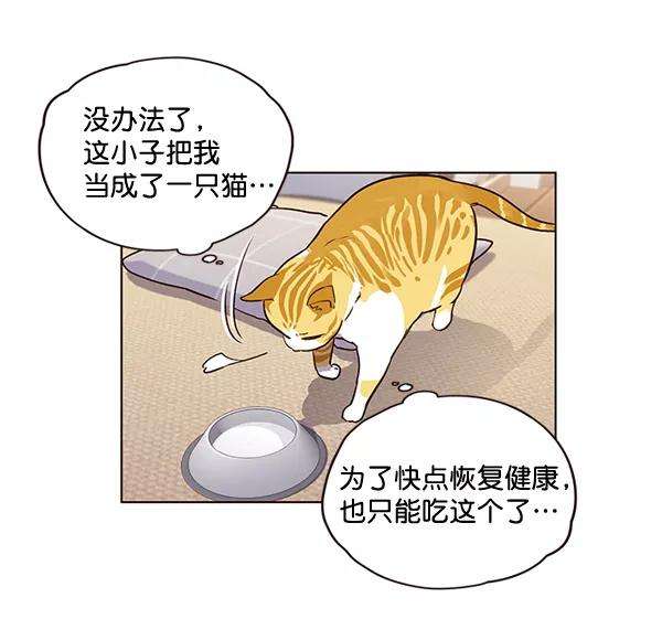 觉醒吧，铲屎官！1话