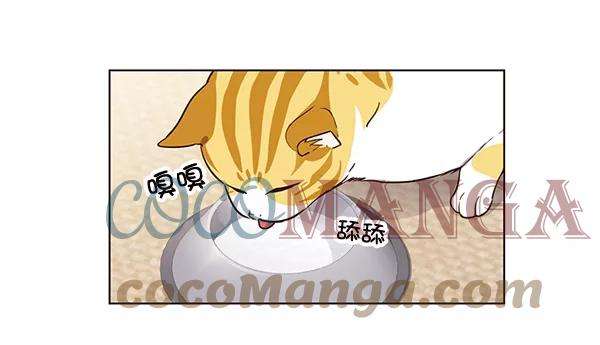 觉醒吧，铲屎官！1话