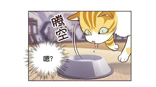 觉醒吧，铲屎官！1话