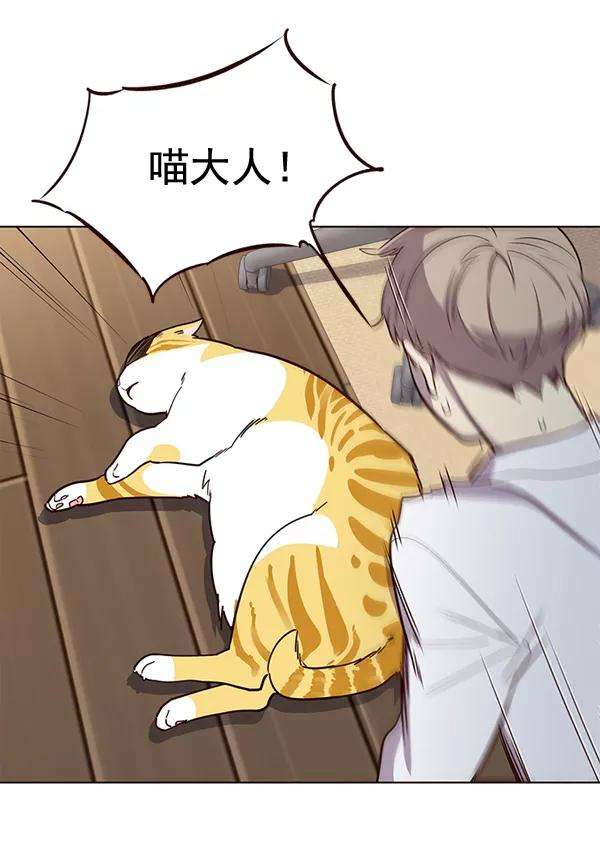 觉醒吧，铲屎官！2话