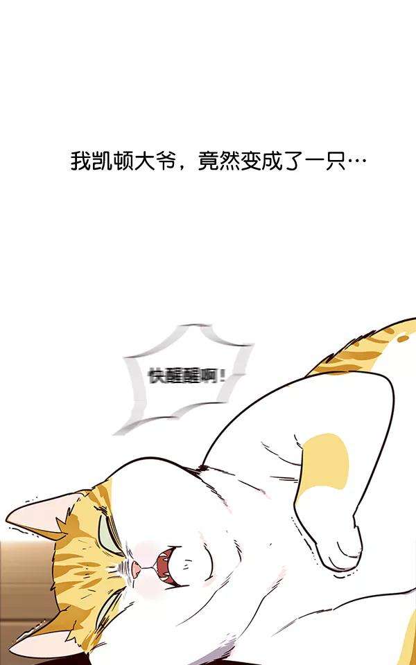 觉醒吧，铲屎官！2话