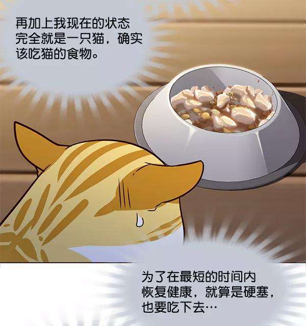 觉醒吧，铲屎官！2话