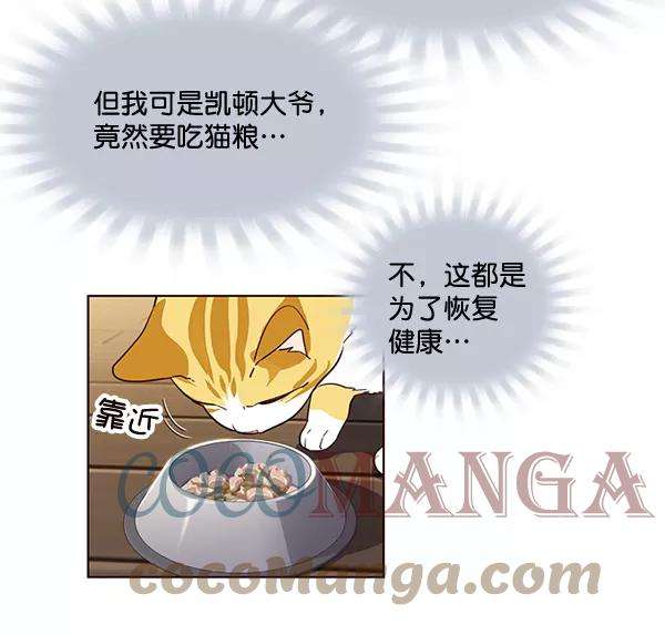 觉醒吧，铲屎官！2话