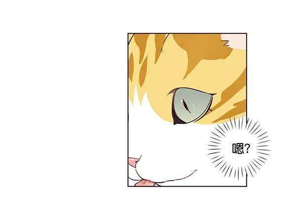 觉醒吧，铲屎官！2话