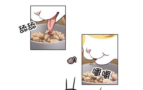 觉醒吧，铲屎官！2话