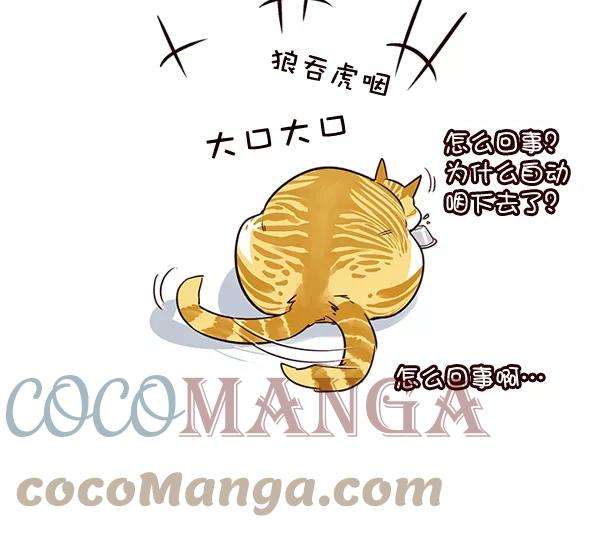 觉醒吧，铲屎官！2话