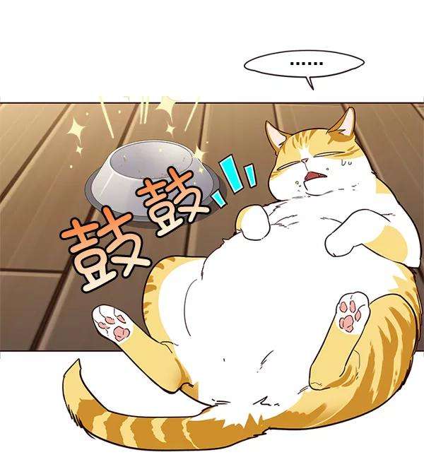 觉醒吧，铲屎官！2话