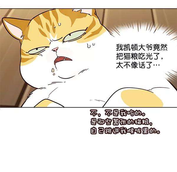 觉醒吧，铲屎官！2话