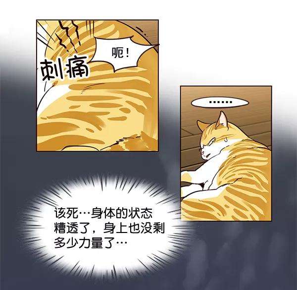 觉醒吧，铲屎官！2话