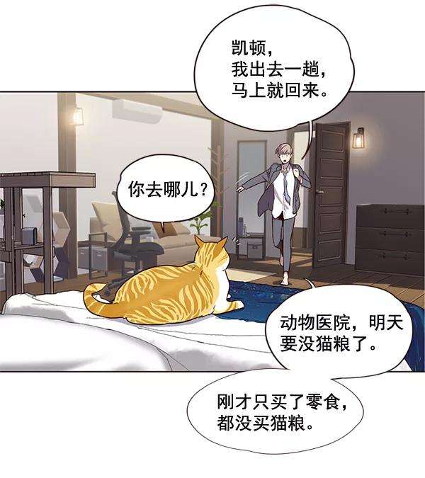 觉醒吧，铲屎官！2话