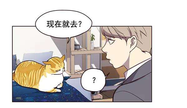 觉醒吧，铲屎官！2话