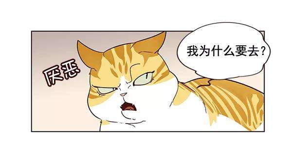 觉醒吧，铲屎官！2话