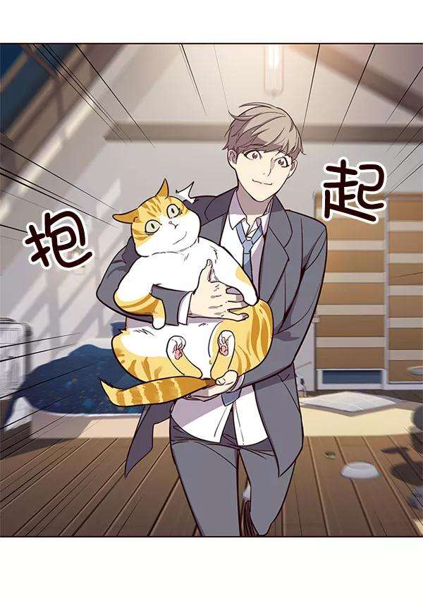 觉醒吧，铲屎官！2话