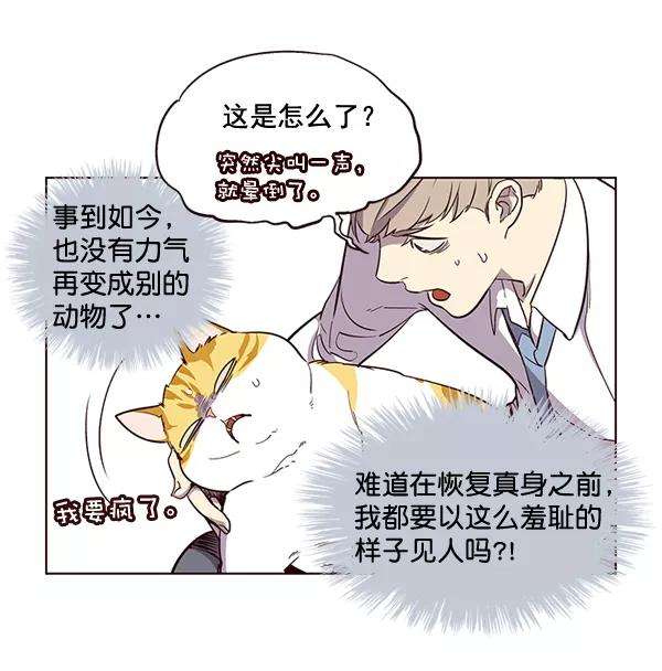 觉醒吧，铲屎官！2话