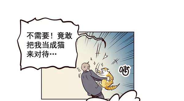 觉醒吧，铲屎官！2话