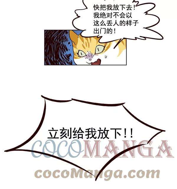 觉醒吧，铲屎官！2话