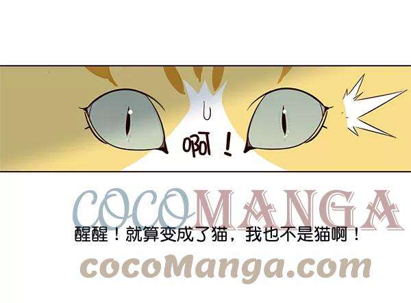 觉醒吧，铲屎官！2话