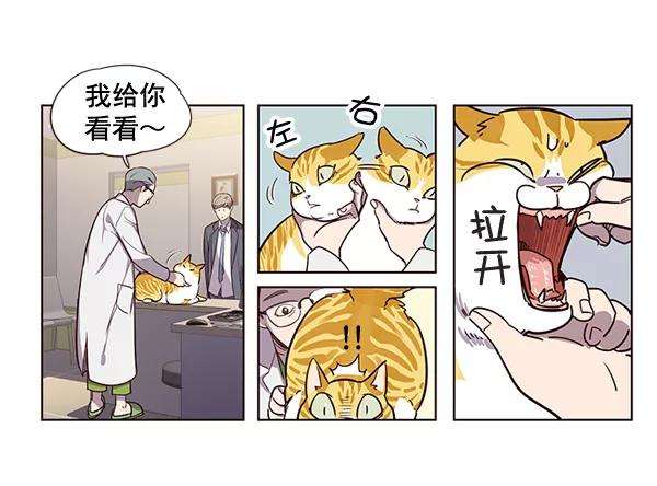 觉醒吧，铲屎官！2话