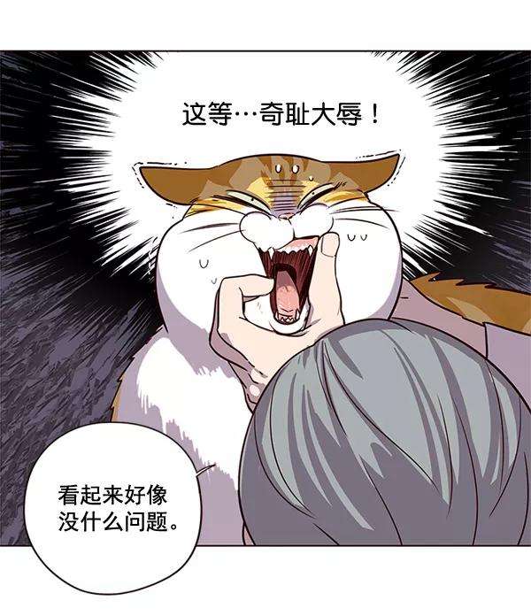 觉醒吧，铲屎官！2话