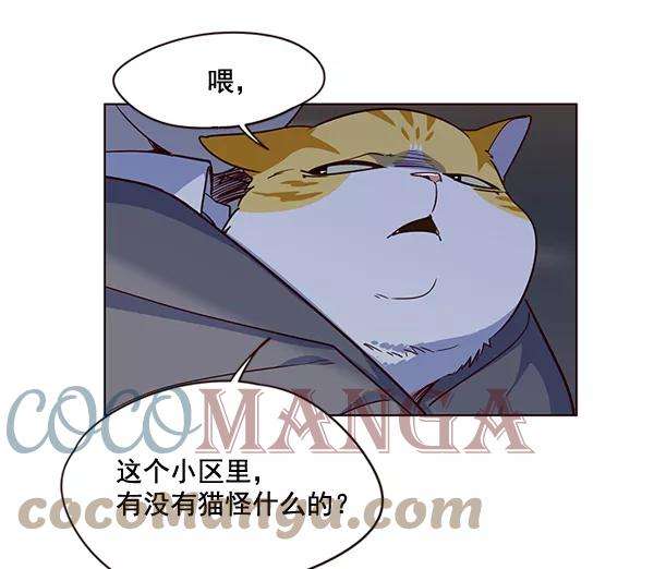 觉醒吧，铲屎官！2话