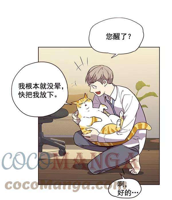 觉醒吧，铲屎官！2话