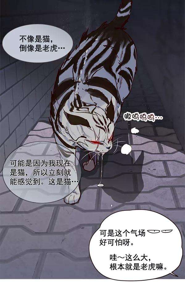 觉醒吧，铲屎官！2话