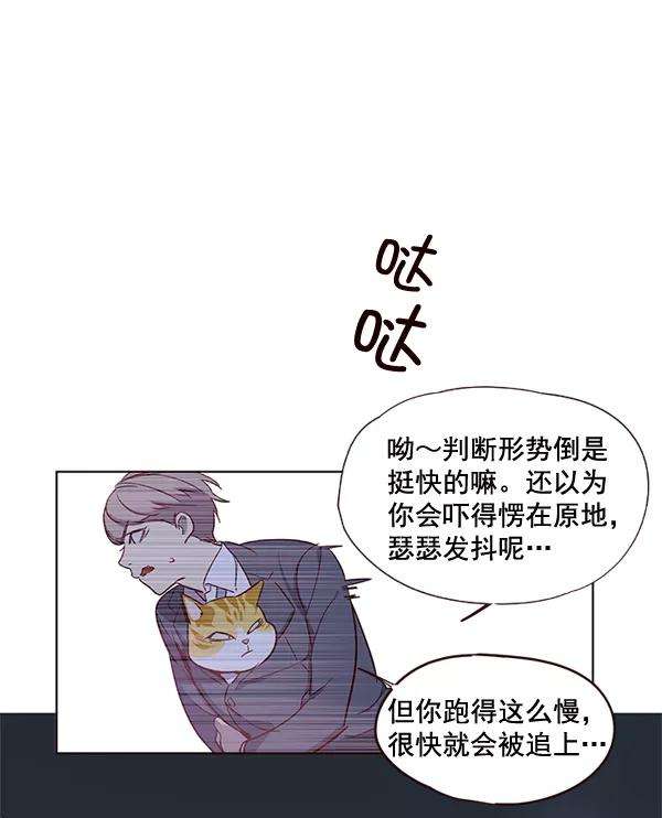 觉醒吧，铲屎官！2话