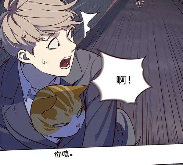 觉醒吧，铲屎官！2话