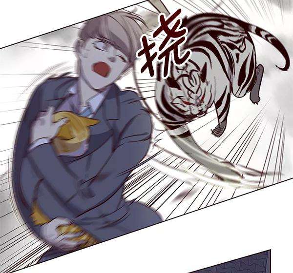 觉醒吧，铲屎官！2话