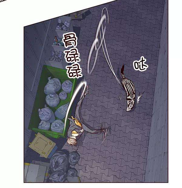 觉醒吧，铲屎官！2话