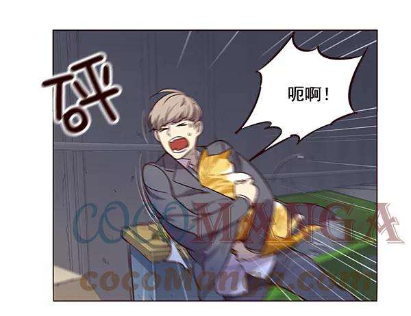 觉醒吧，铲屎官！2话