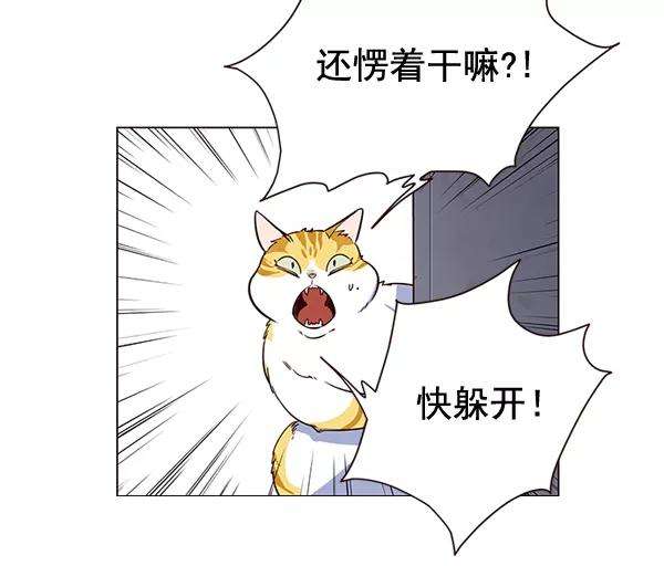 觉醒吧，铲屎官！3话