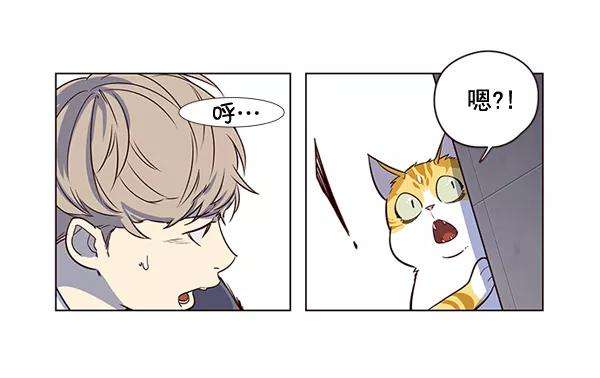 觉醒吧，铲屎官！3话