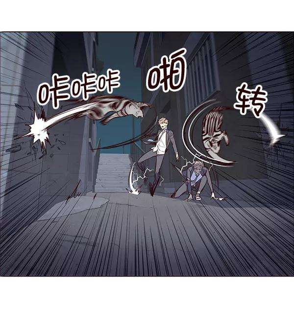 觉醒吧，铲屎官！3话