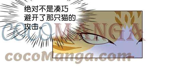 觉醒吧，铲屎官！3话