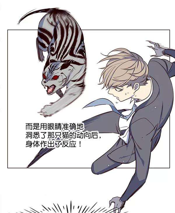 觉醒吧，铲屎官！3话