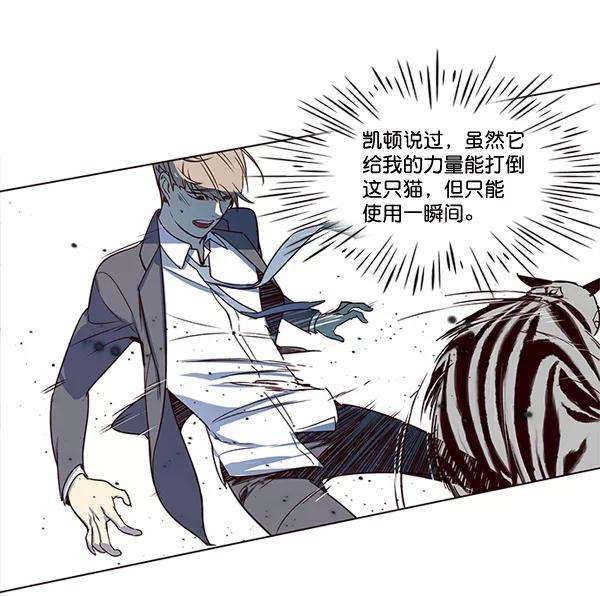 觉醒吧，铲屎官！3话