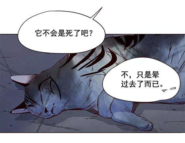 觉醒吧，铲屎官！3话