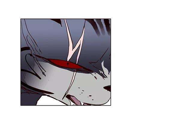 觉醒吧，铲屎官！3话