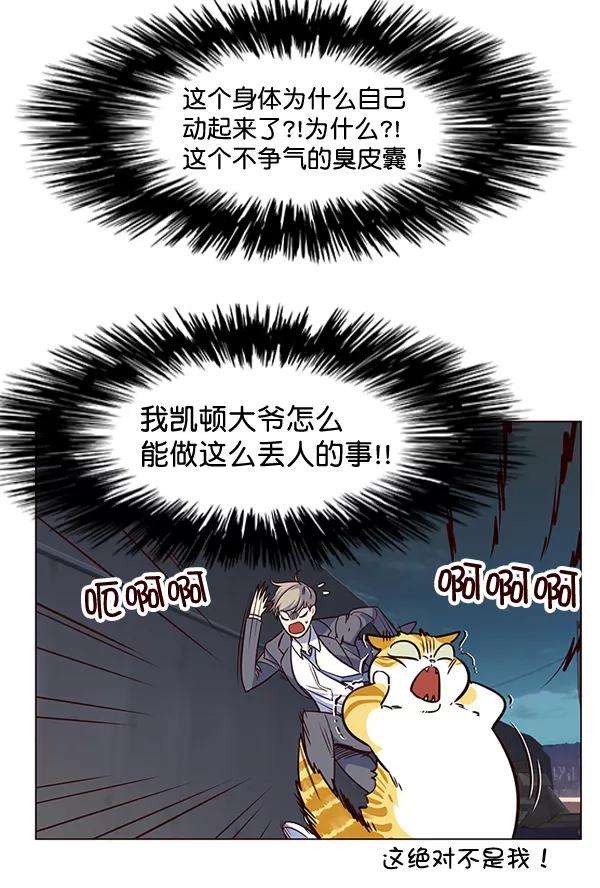 觉醒吧，铲屎官！3话