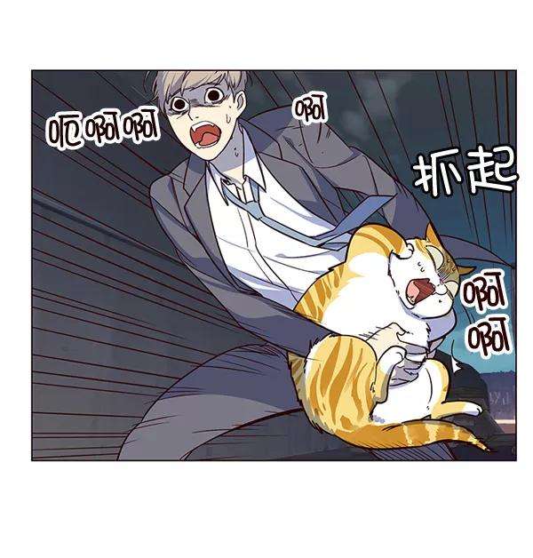 觉醒吧，铲屎官！3话