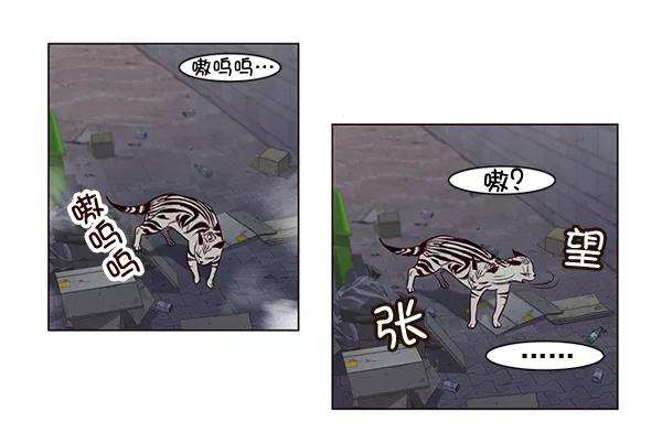 觉醒吧，铲屎官！3话