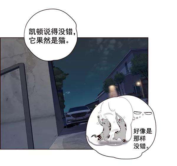 觉醒吧，铲屎官！3话