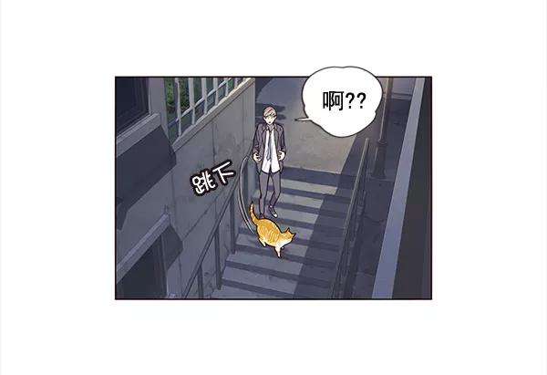 觉醒吧，铲屎官！3话