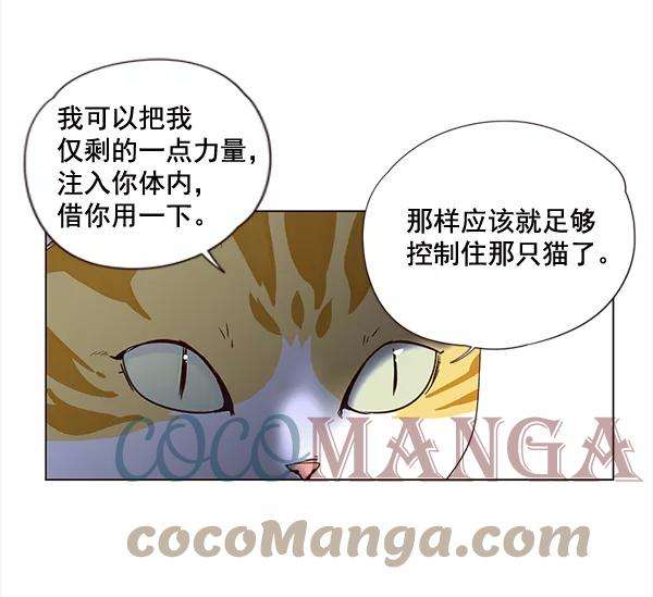 觉醒吧，铲屎官！3话